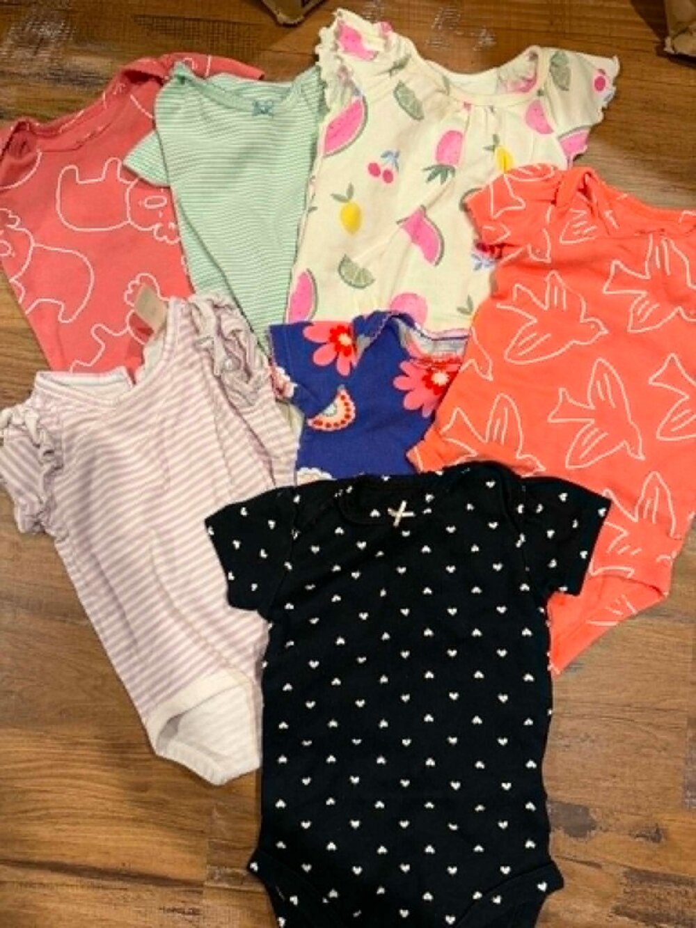Baby Girl Bodysuit Bundle 6 Months